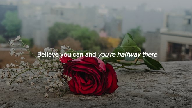 red rose with baby’s breath rests alone on stone, fading city behind, soft light, hopeful yet quiet mood